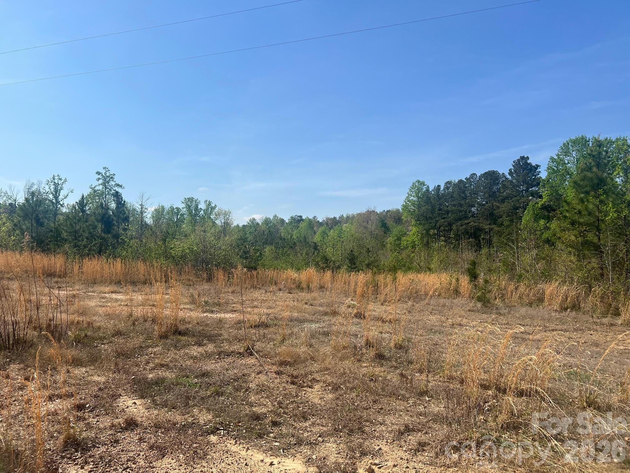 Acreage in desirable Tryon location with CETA trail access. Lots of possibilities with this one. The tract is a mixture of cleared and wooded areas with mixed topography, and includes an older 3BR/2BA home that will require renovations for living use. A significant portion of the property was previously cleared and would not require a lot to remove the regrowth.  A shared roadway providing access throughout is already established on the property. Notably, the parcel is in an area of established equestrian properties and could make for similar for anyone with the time and vision to develop the land as such. CETA trail easement for property currently in the works will provide direct access to miles and miles of horseback riding. Trail access property doesn't come available very often. Don't delay. Bring your creative juices today!