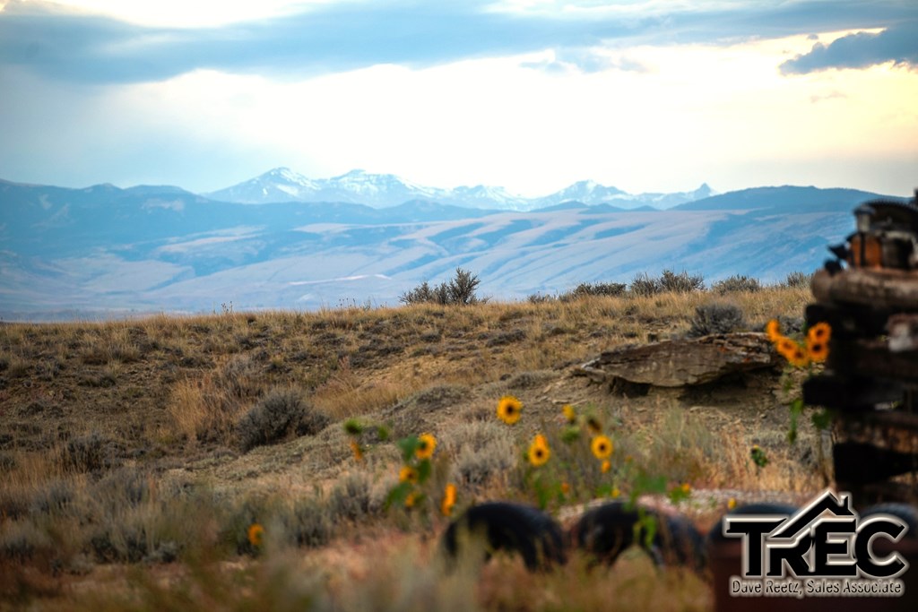TBD Overland Tr 28