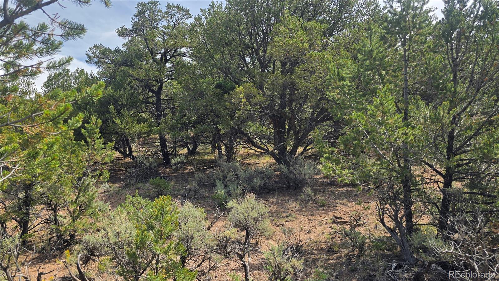 Lot 7892 Tiernan Road