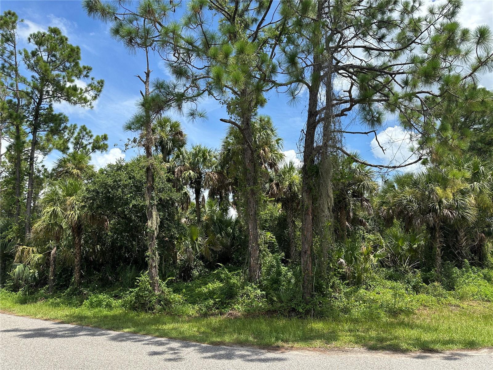 Great investment or homesite opportunity in North Port. This lot is ready for you to build the house of your dreams where you can do what you want with no HOA or CDD fees. Building here also gives you the freedom to choose your builder and floor plan. This corner lot has mature trees and a greenbelt buffer behind it to give you more space and privacy.  Enjoy being close to all the conveniences of North Port, with easy access to shopping, dining, schools, and the stunning Gulf Coast beaches just a short drive away.