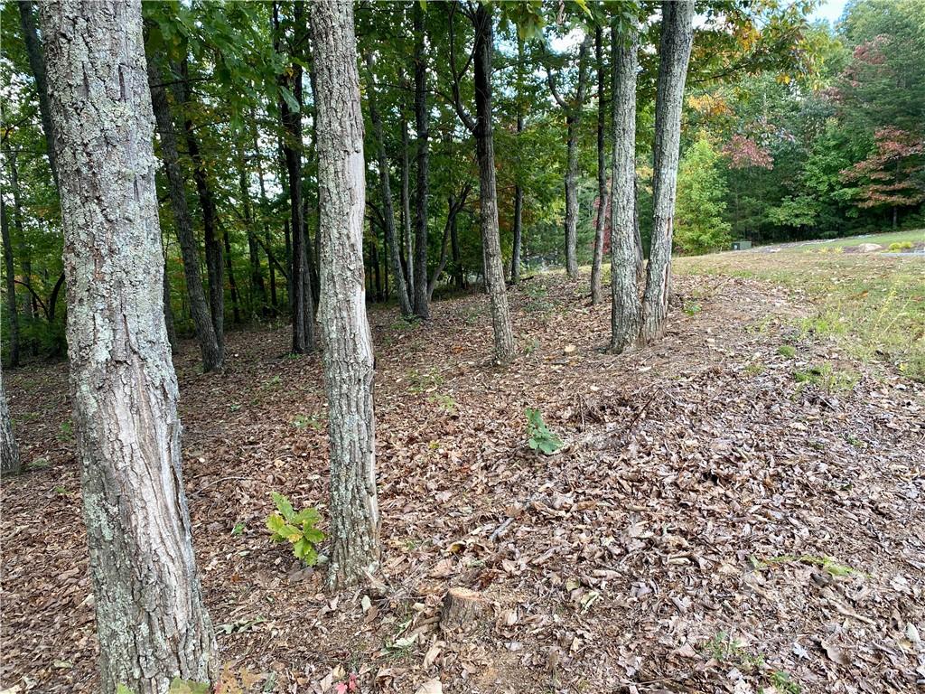 207 Mossy Oak Trail 166 & 167