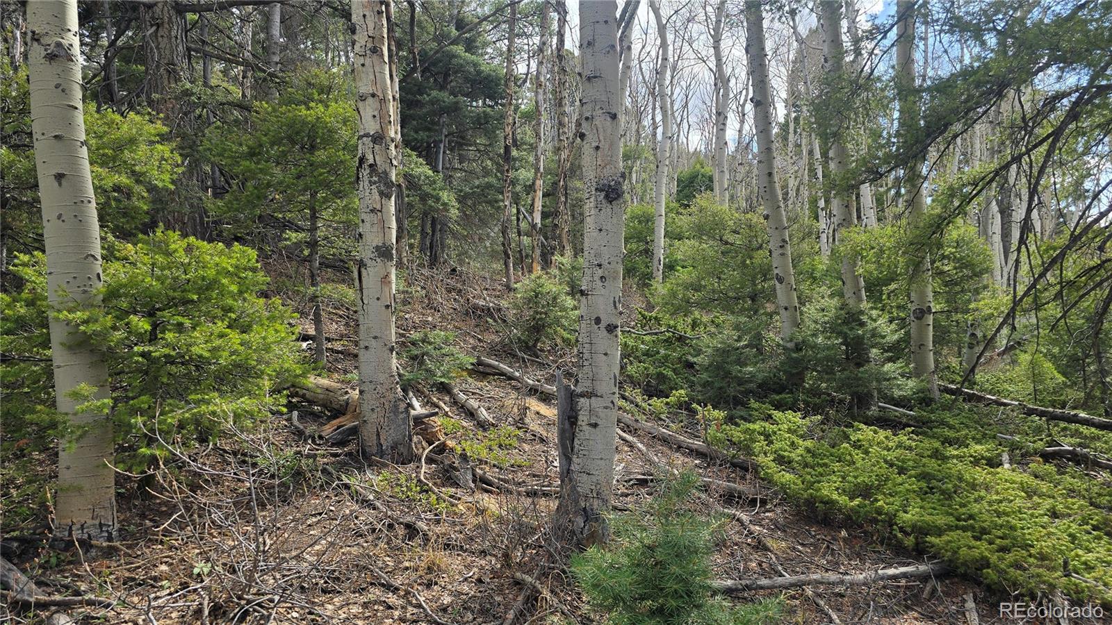Lot 5261 Scott Road