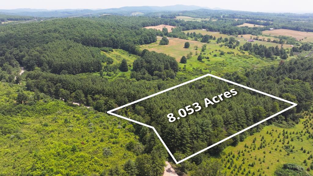 Over eight wooded acres located within twenty minutes of downtown Floyd. Gently sloping terrain provides easy access and ease ofconstruction. Offering privay and convenience, high speed fiber optice service is available. Should you desire more land, adjoining parcels areavailable.