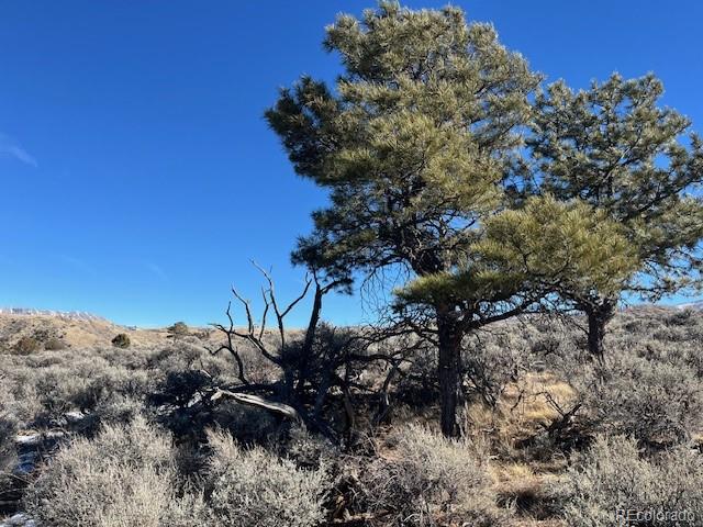Lot 4875 Durante Road