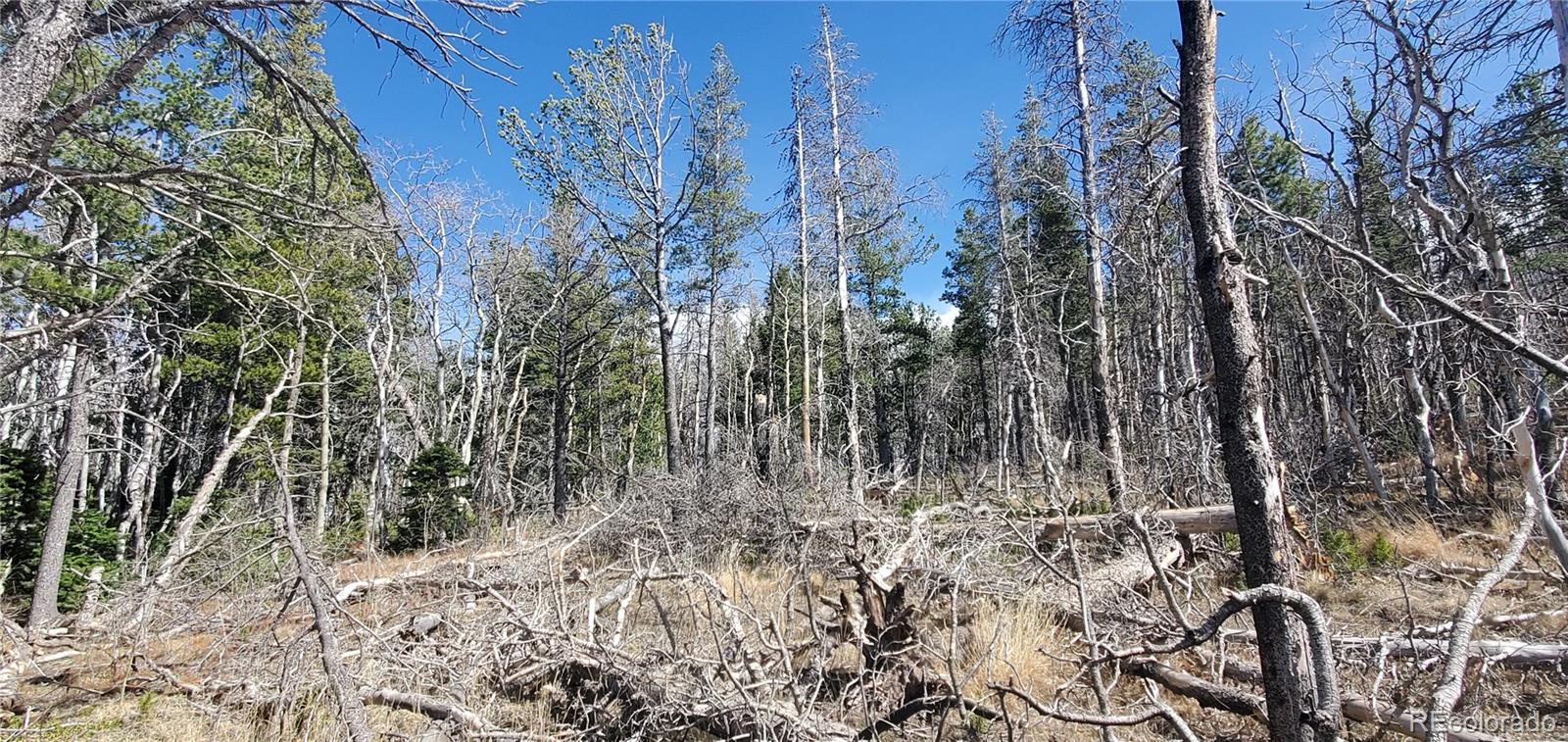 Lot 2560 Grojean Drive