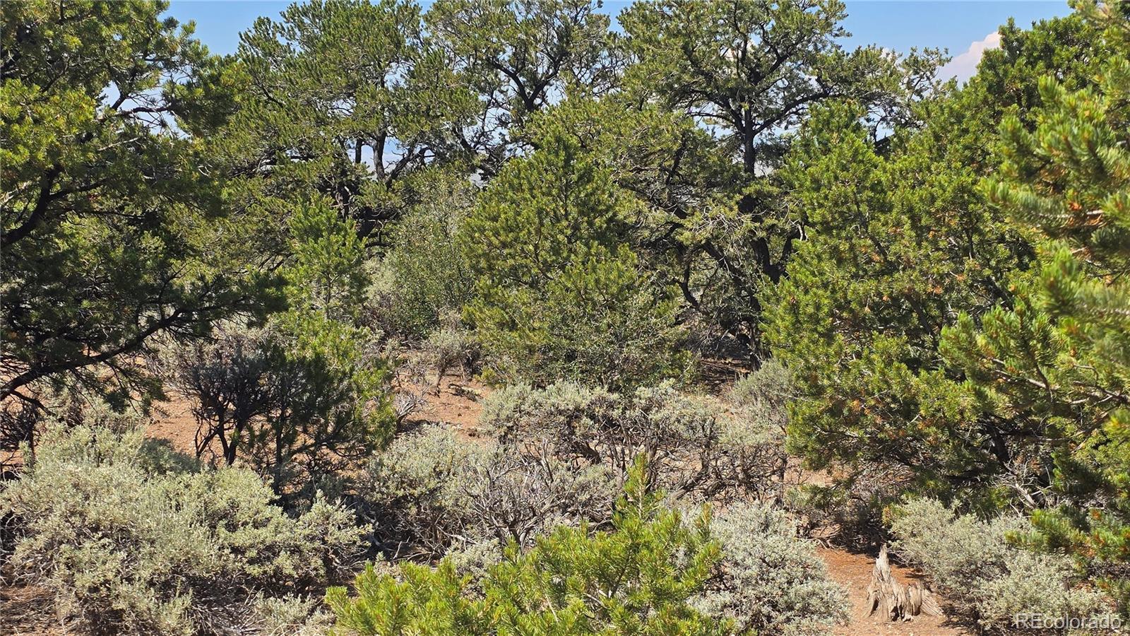 Lot 1416 Michaels Road