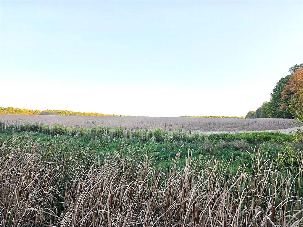 *AUCTION* Land Sale. Parcel 2 of 4 Neighboring Parcels being sold in auction October 29, 2025. Please see https://www.spauldingbid.com/Public for more information.To view this property please join us October 15th and 20th from 3pm to 4pm open house style viewing.Mostly tillable land great for farming or for building that dream home while having the agriculture exemption. Approximately 11 acres of wooded land to enjoy your hunting adventures. Parcel 2 is 78 +/- acres being auctioned at the same time as a 80 +/- acre parcel (1), 15 +/- acre parcel (3) and a 43 +/- acre parcel (4).