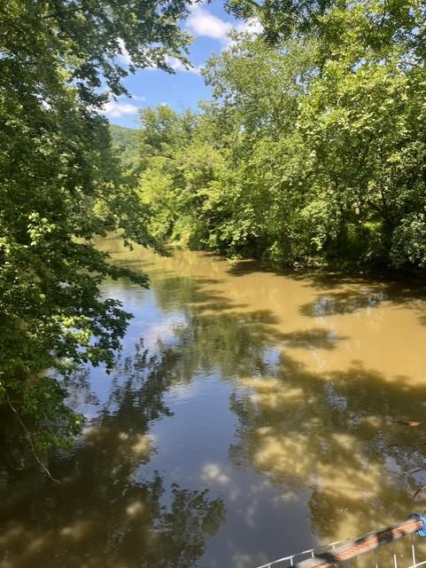 Discover a rare opportunity to own almost 9 acres of highly productive organic farmland along the beautiful North Fork Holston River in Southwest Virginia. Farmed organically for nearly 30 years, this exceptional property offers an ideal blend of agricultural potential, recreational enjoyment, and outstanding homesite possibilities. The land features approximately 400 feet of North Fork Holston River frontage, providing excellent fishing, kayaking, and peaceful waterfront enjoyment. The riverfront field has been thoughtfully arranged with several camping areas, making it the perfect setting for weekend getaways, family gatherings, or simply relaxing beside the water. The productive orchard includes 27 mature peach trees representing early, mid, and late-season varieties that provide an extended 6- to 8-week harvest season, along with 22 mature pear trees in their prime producing years. The property also boasts 64 fully productive organic blueberry bushes that have generated annual income for the current owner. In addition, more than 30 young sugar maple trees offer future potential and add to the property's natural beauty. With several attractive building sites, this property presents an excellent opportunity to create your dream home, hobby farm, or private mountain retreat while enjoying fertile soils and breathtaking river views. Access to the property is unique and adds to its secluded character. The primary entrance is via a charming swinging footbridge on the western side of the property. A secondary recorded right-of-way provides access through a river ford suitable for four-wheel-drive vehicles and similar equipment. The tract has been recently surveyed and is available for review. Whether you're looking to establish an organic farm, enjoy a recreational riverfront escape, generate income from productive fruit crops, or build your dream home in the heart of Southwest Virginia, this one-of-a-kind property offers exceptional possibilities.