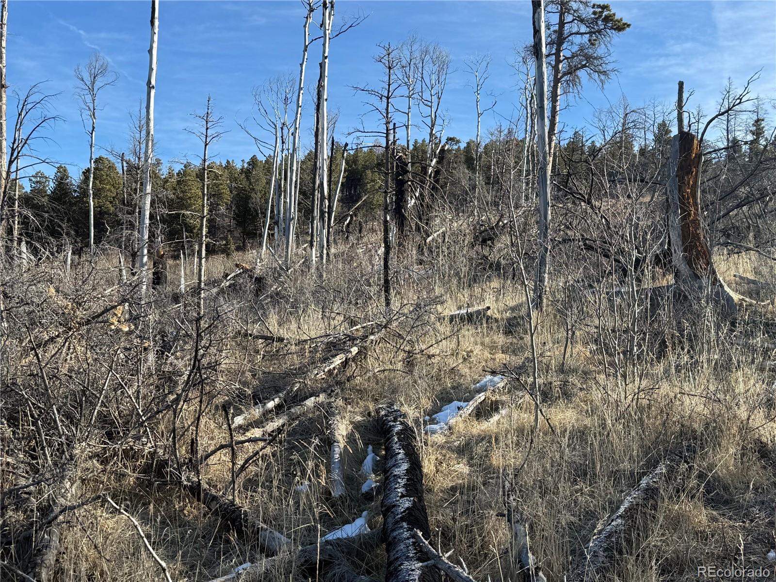 Lot 356 Spangle Drive