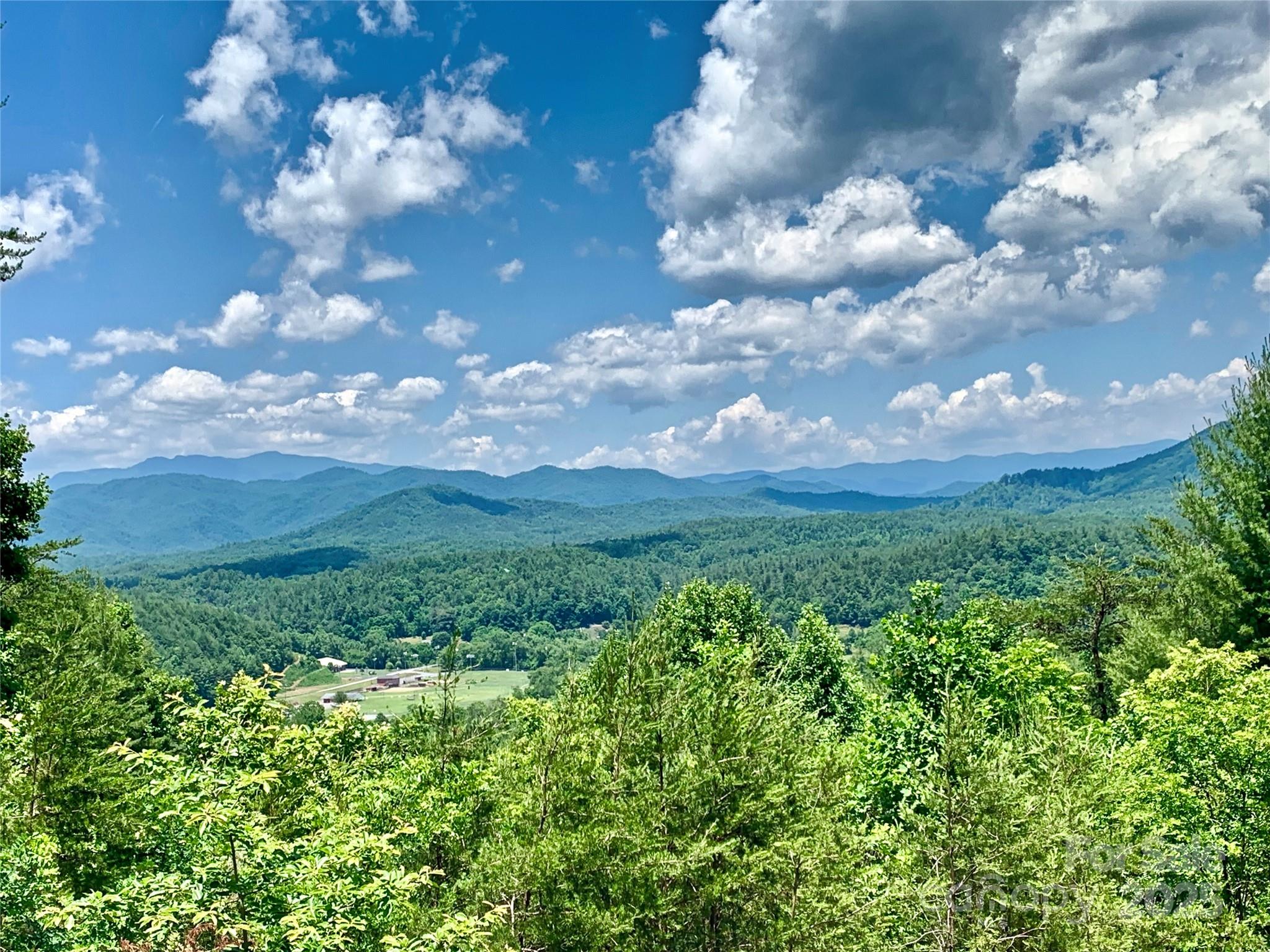 1879 Johns Ridge Parkway Lot 163