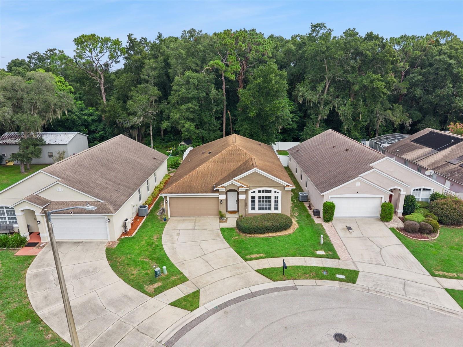 2019 Golden Ivy Way