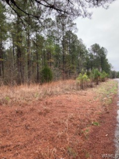 0 Hwy 219