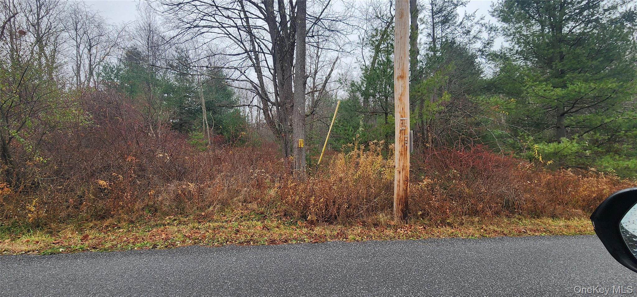 Thompson Road