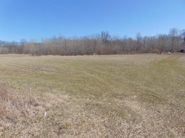 This very unique 30 acre parcel on a paved road would make an amazing property to build your dream home. You have a diverse landscape with the contoured land which includes both treed areas and open land that is currently put into hay and has been tiled. The wildlife is abundant with deer and turkey, plus an array of other animals. The 3 billboard signs provide some extra income for the property owner, leases to be provided upon request. Some of the leg work has been done, you will find a tile map, survey and address has been taken care of. It's waiting for New owners Hunting blinds do not stay with the property. The Rails to Trails is just across the road from the property.