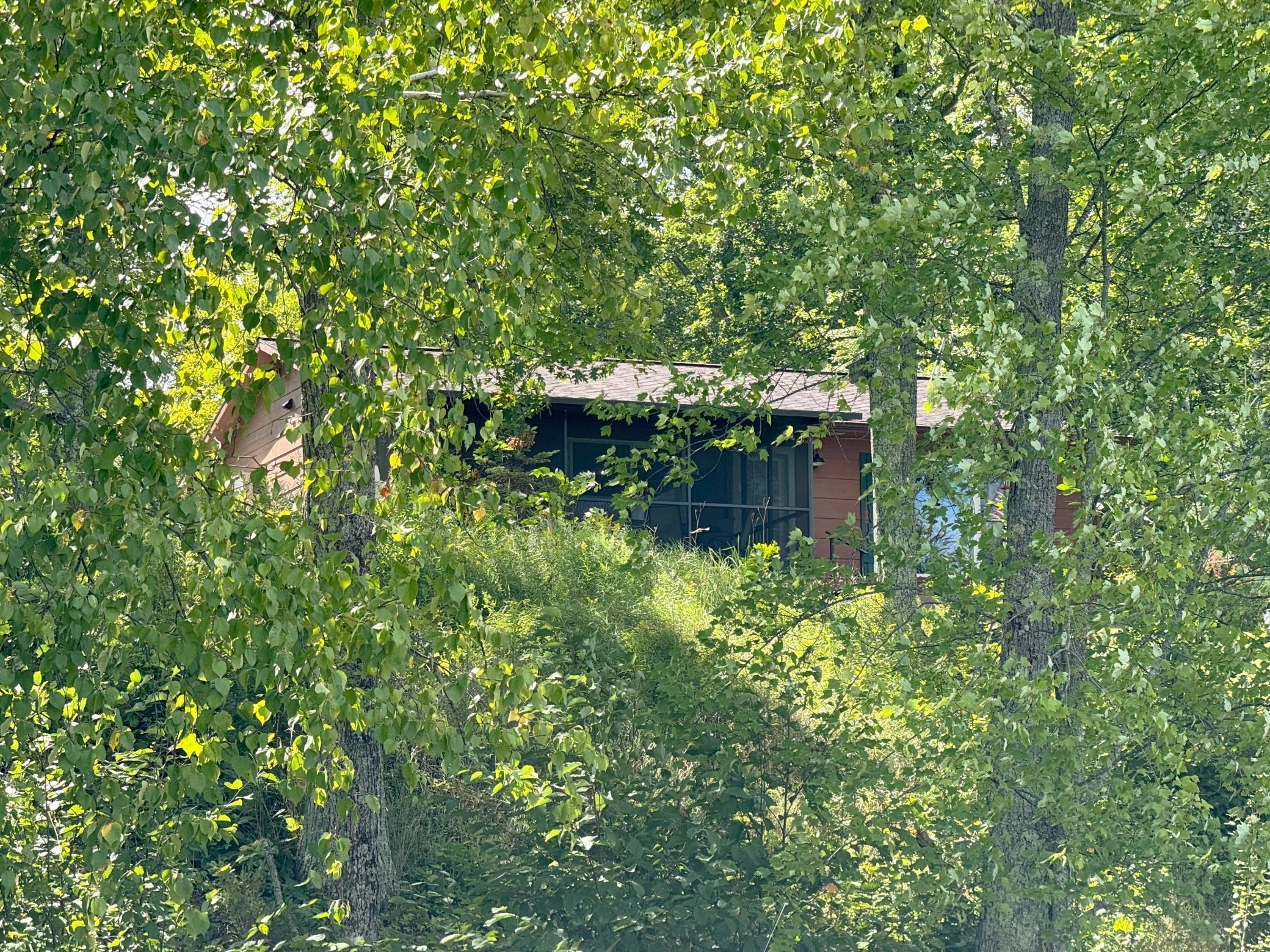 27023 Fawn Lane