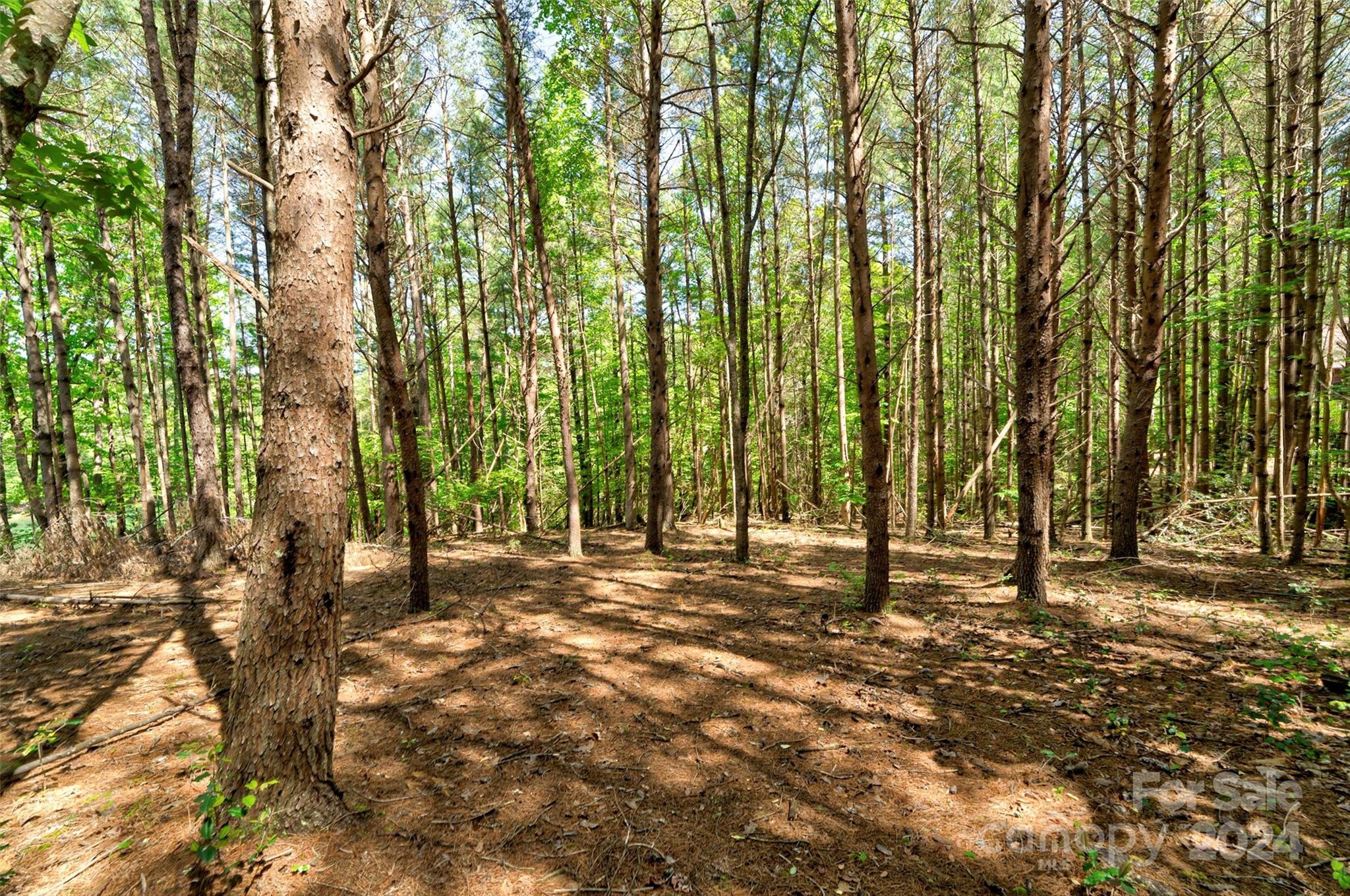 1634 Old Dry Creek Road 20