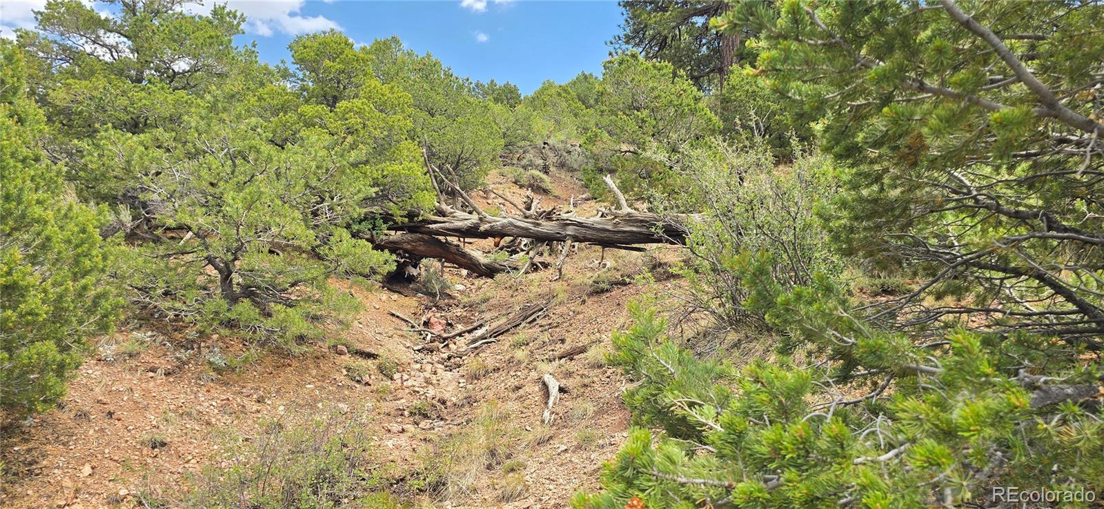 Lot 4401 Melcarth Road