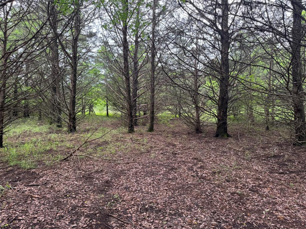 TBD 2.824 acres Fm 901