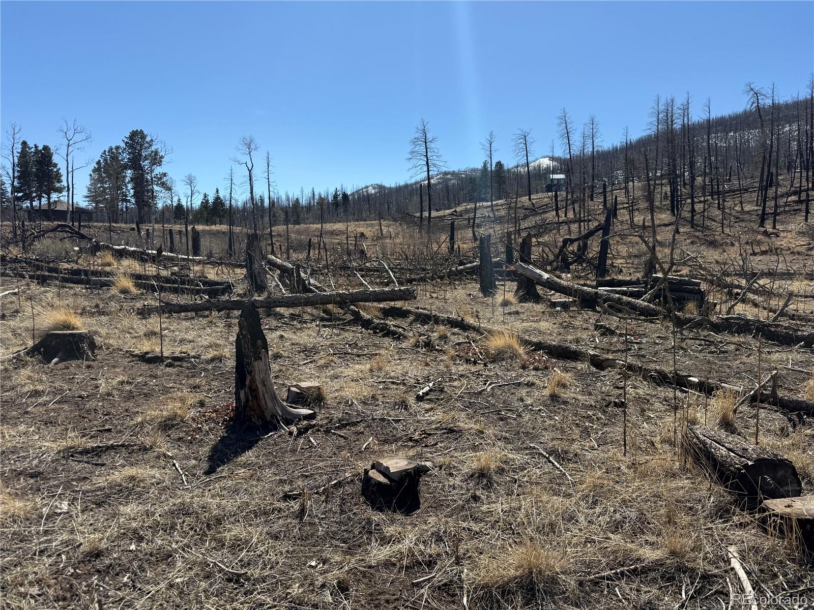 Lot 999 Foy Place