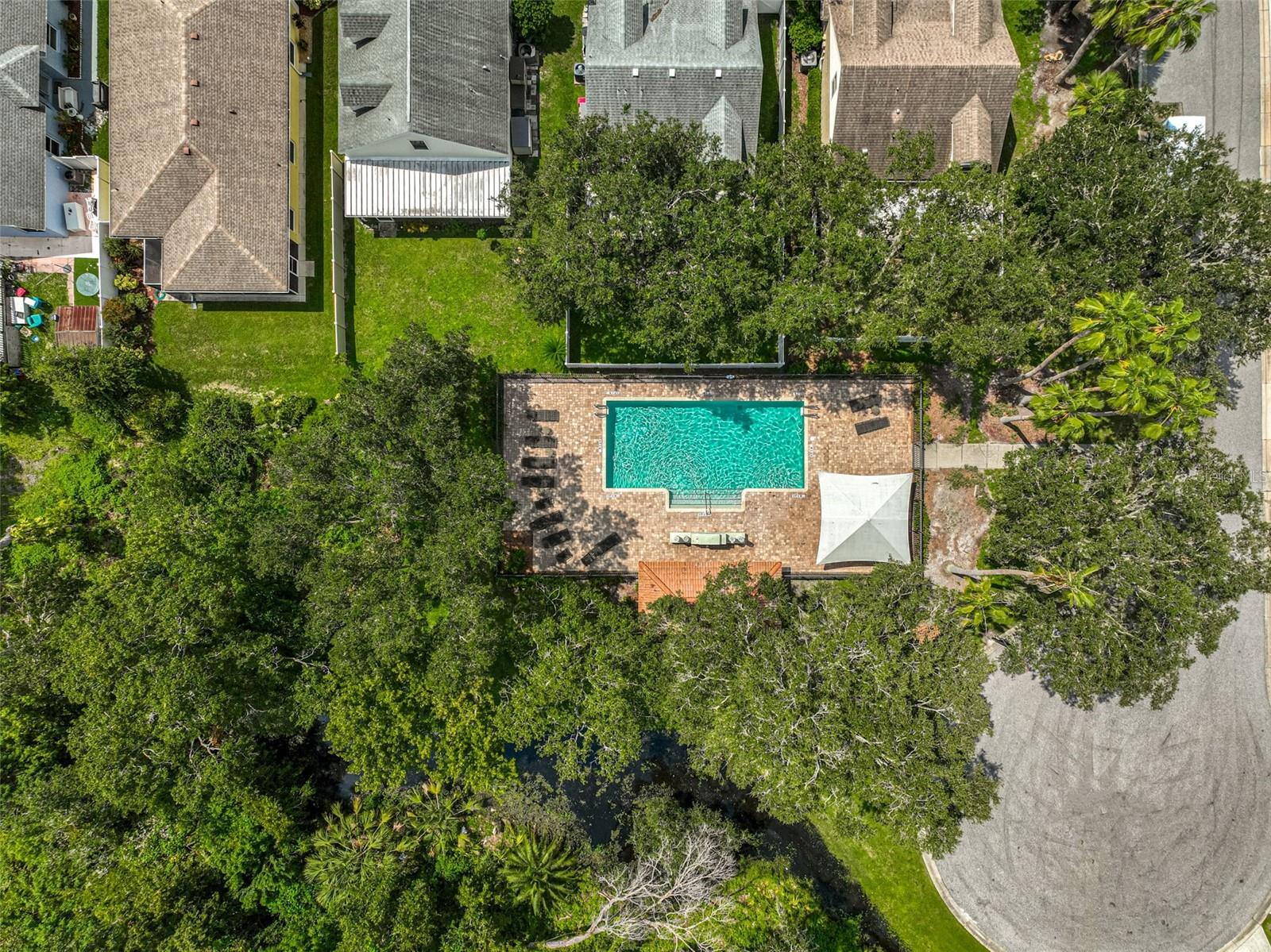 3611 Chinaberry Lane