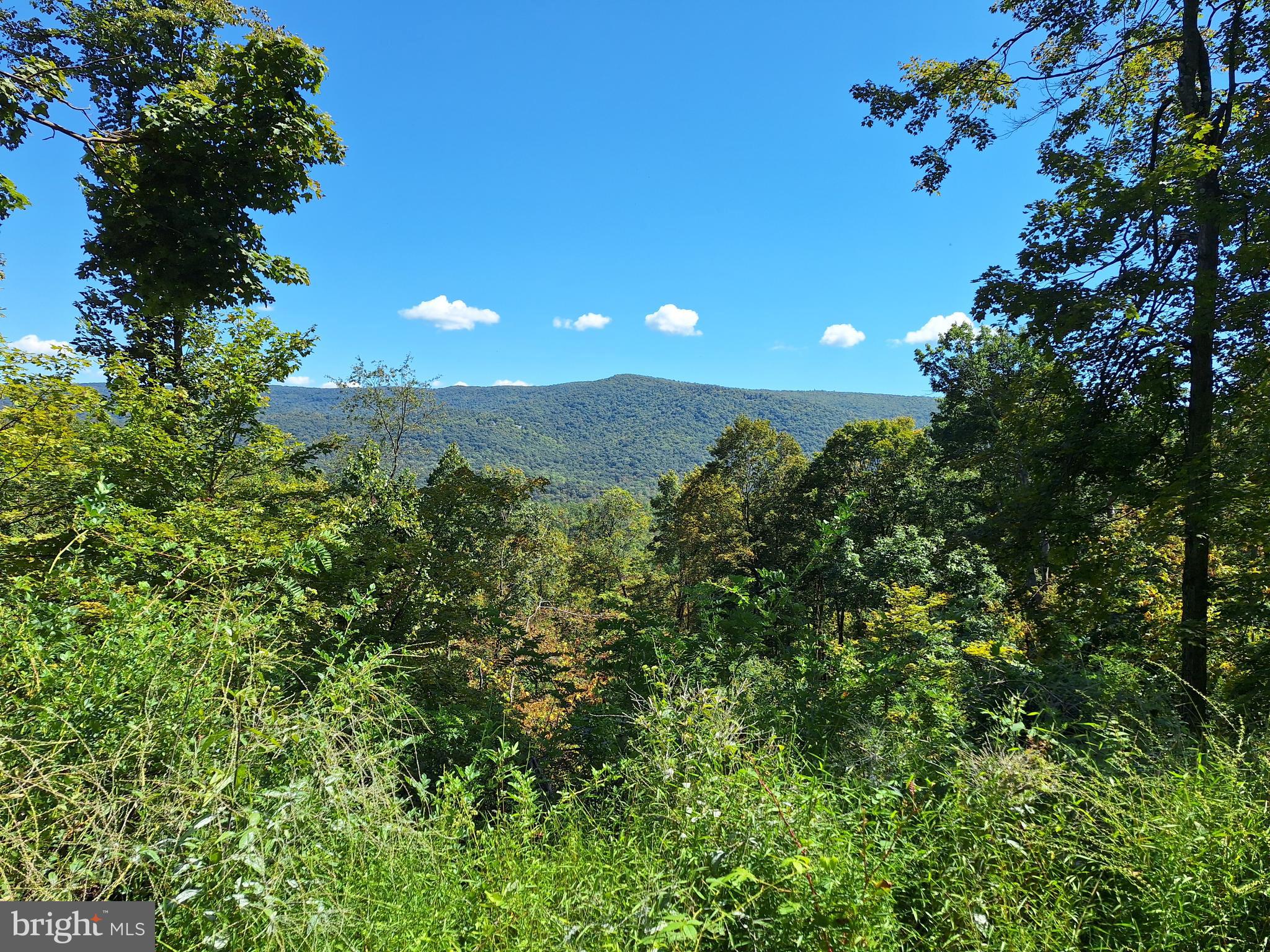 Tiger Valley Road