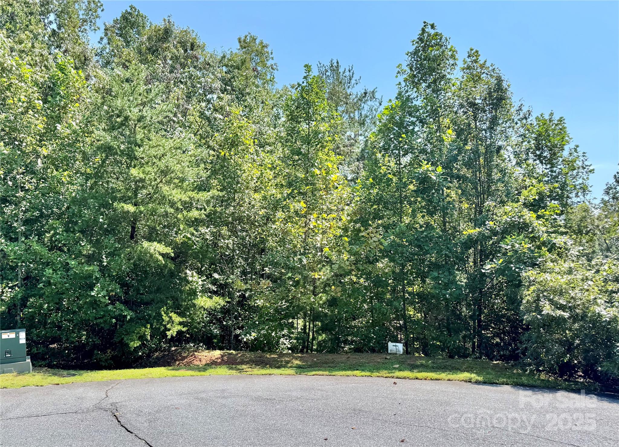 3.31 acres, Lot 37 Poplar Bluff Drive SE 37