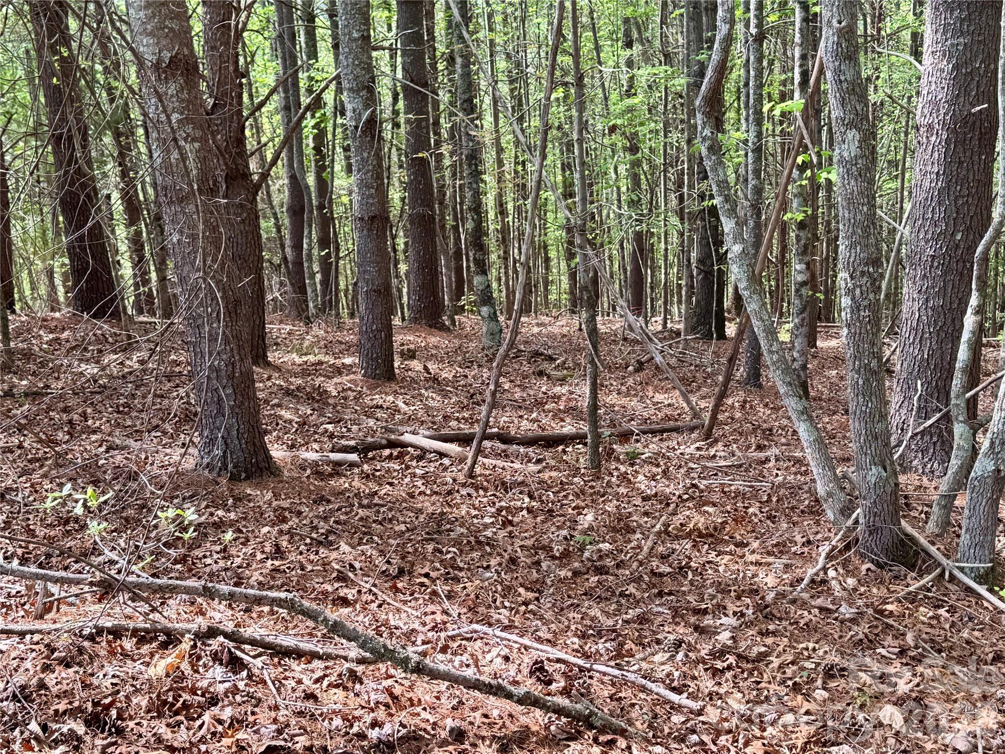 Lot 161/162 Rocky Falls Lane 161/162