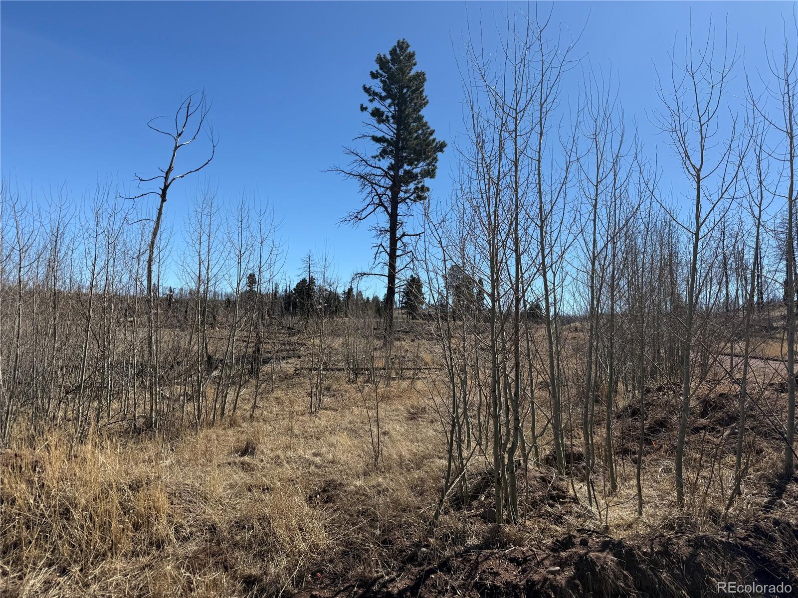Lot 999 Foy Place