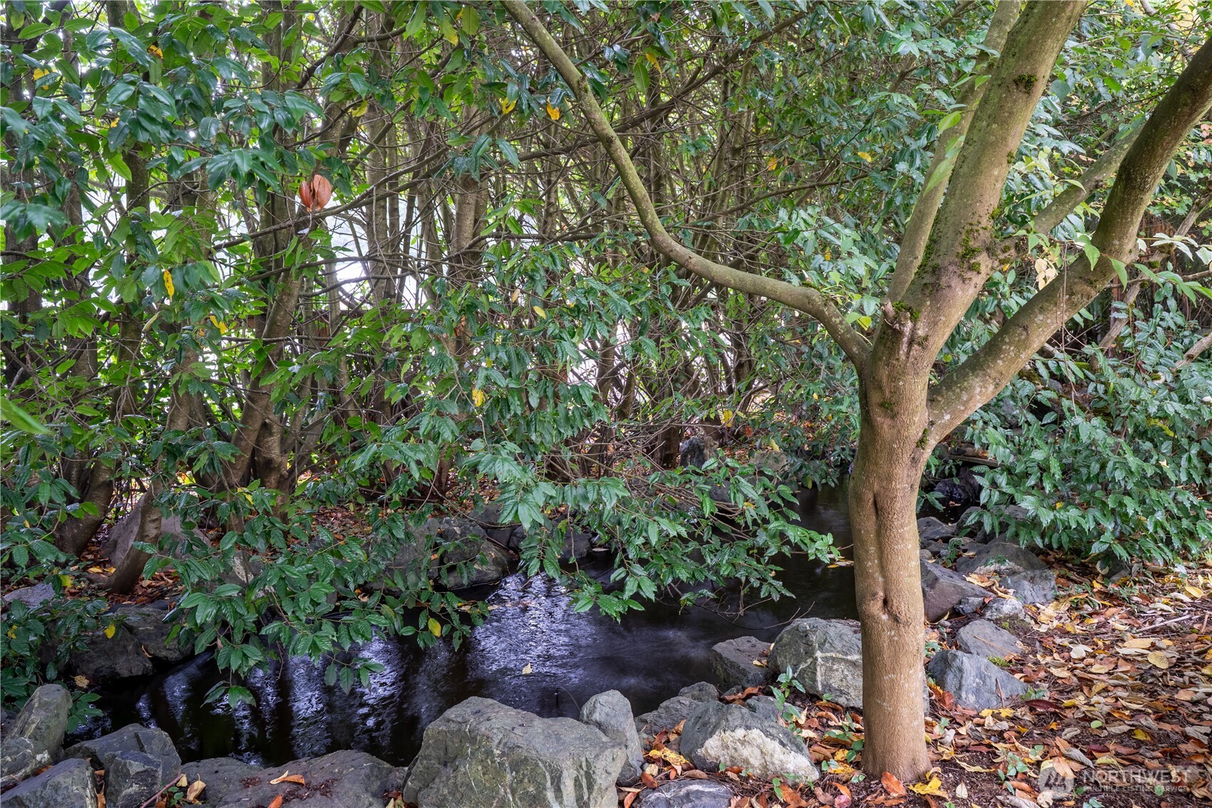 932 Birch Bay Lynden Road