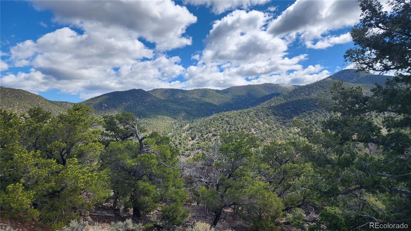 5040 & 5041 Mamouche Road