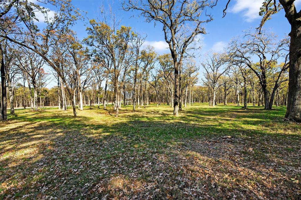 Lot 14 Buck Trail