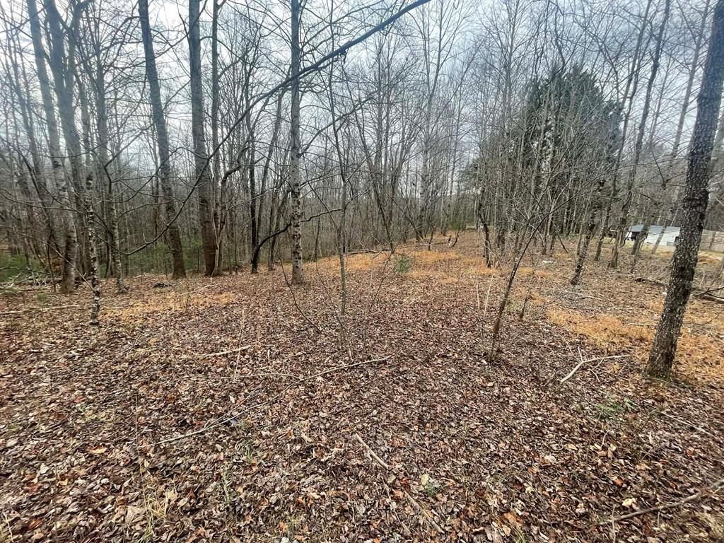 Looking for privacy? This 2+ acre tract off of Creek View Lane in Ararat is perfect for a modular or double-wide, offering quiet country living just 15 minutes from Cana & Mount Airy!