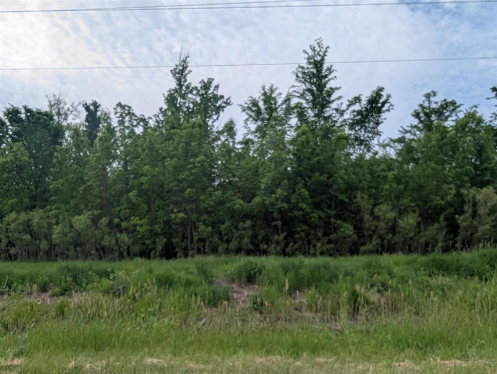 40 acres of wooded land with frontage on two roads! A great hunting location not far from US-23 and even access to Lake Huron! This property could even be a potential building site that live and recreate all on the same piece! Seller would consider splitting the parcel into 10 acre parcels.