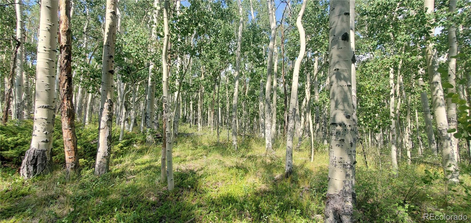 Lot 5837 Sheldon Road