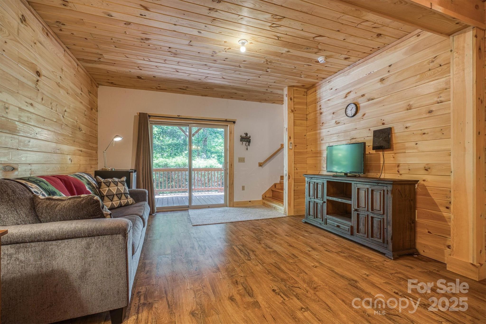 203 Mountain Vista Drive