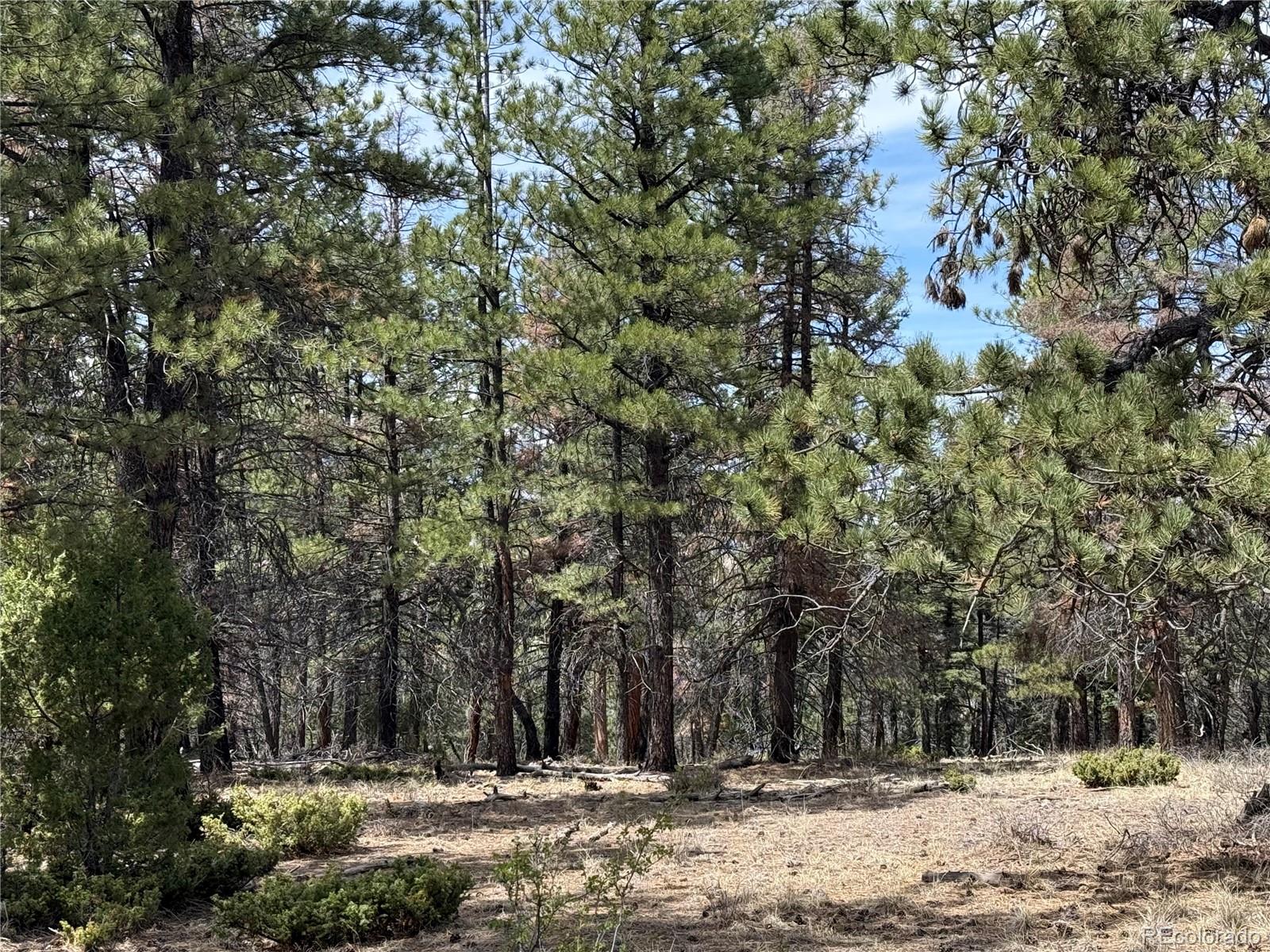 Lot 152 Tahmoush Lane