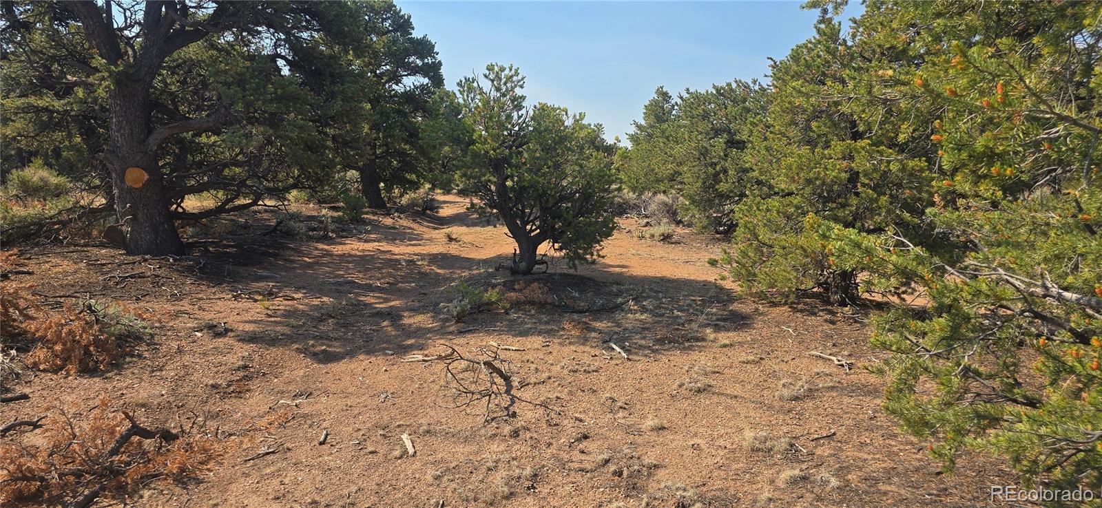 Lot 1659 Slegers Circle