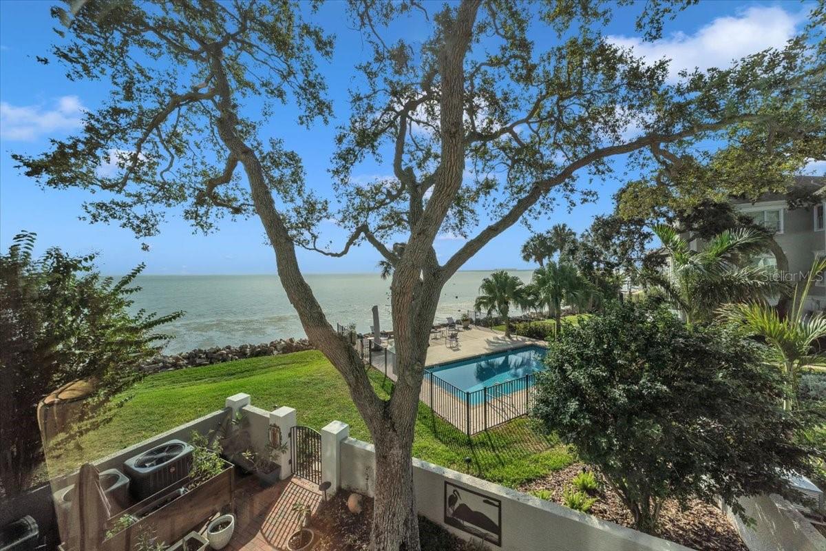 6212 Bayshore Boulevard, Tampa, FL