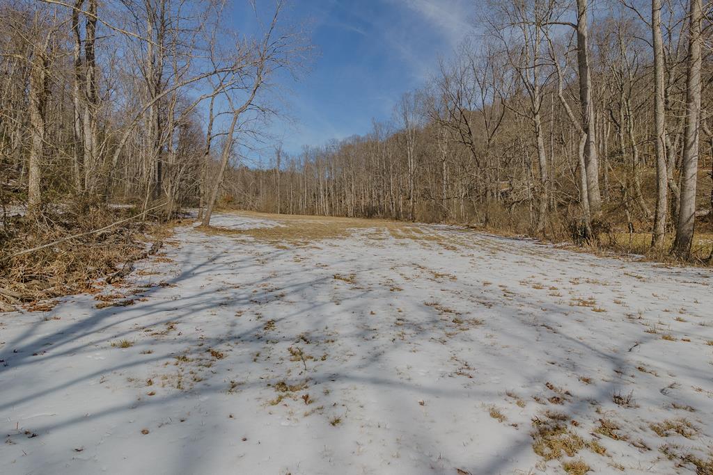 Escape to the mountains with this exceptional 96-acre property located in the peaceful Dry Pond Community of Stuart, Virginia. This property offers the perfect blend of recreation, hunting, and long-term investment potential. The property features a cozy rustic cabin ideal for a hunting retreat. A bold, year-round creek flows through the land, home to native trout and providing a beautiful natural setting. The acreage is well-timbered with marketable hardwoods and offers outstanding long-range mountain views from the ridge top. Designed with outdoor enthusiasts in mind, the land includes four established food plots that consistently attract deer and wildlife. A solid network of trails and internal roads provides easy access throughout the property for ATVs, hiking, or hunting. Whether you're looking for a private recreational retreat, premier hunting property, or a scenic mountain investment, this unique 96-acre tract delivers privacy, natural beauty, and abundant wildlife.