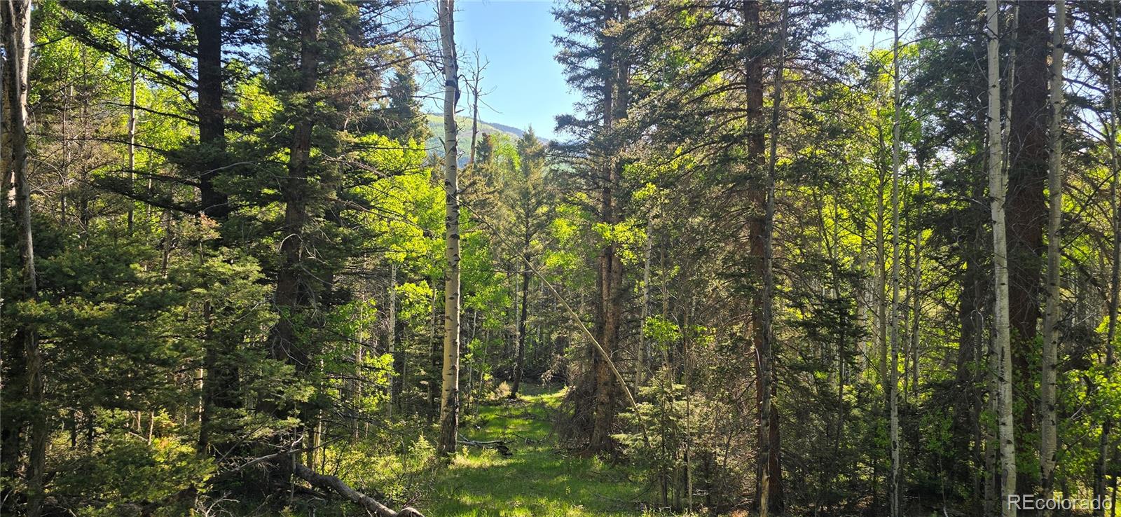 Lot 6385 Jaquez Road