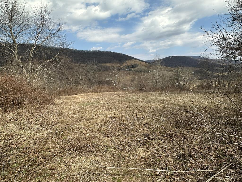 Escape to the mountains with this partially wooded 12-acre property bordering Clear Fork Creek in Bastian, Va. Offering the perfect balance of privacy, natural beauty, and convenience, this property already has electric available and a septic system in place, giving you a head start on building your dream home or mountain getaway. The land rises to an easily accessible hilltop with breathtaking views of the surrounding mountains, providing an incredible homesite where you can enjoy peaceful sunrises, cool mountain breezes, and stunning scenery year-round. The lower portion of the property joins Clear Fork Creek, adding the relaxing sounds of flowing water and opportunities to enjoy nature right from your own land. Outdoor enthusiasts will love the location. The property is just a short drive to the Hatfield-McCoy Trail System, offering hundreds of miles of ATV and side-by-side riding. The surrounding Tazewell County mountains provide excellent hunting, fishing, hiking, and wildlife viewing, making this a perfect basecamp for adventure.  Whether you're looking to build a full-time residence, vacation cabin, or recreational retreat, this property delivers the space, views, and outdoor lifestyle that Southwest Virginia is known for.  Come experience mountain living at its best.
