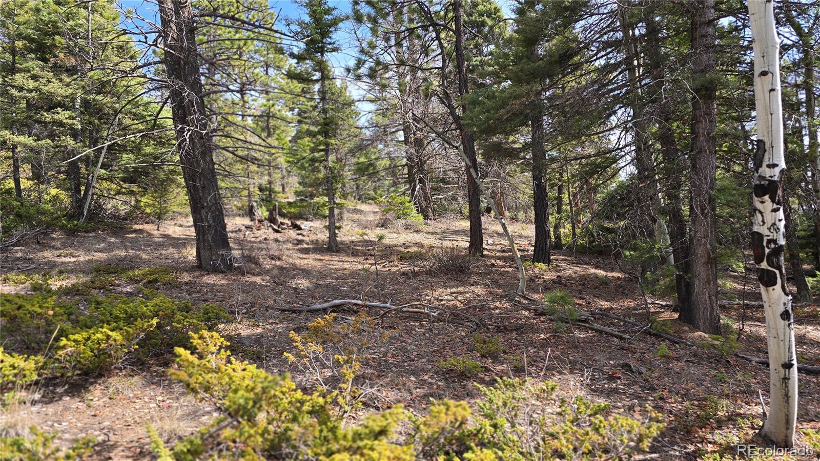 Lot 6070 Vreeland Road