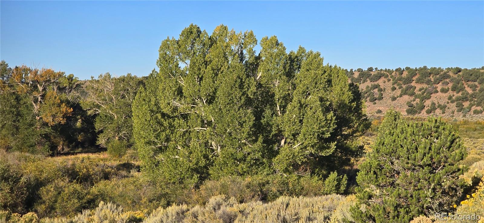 Lot 4248 Ehrenclow Road