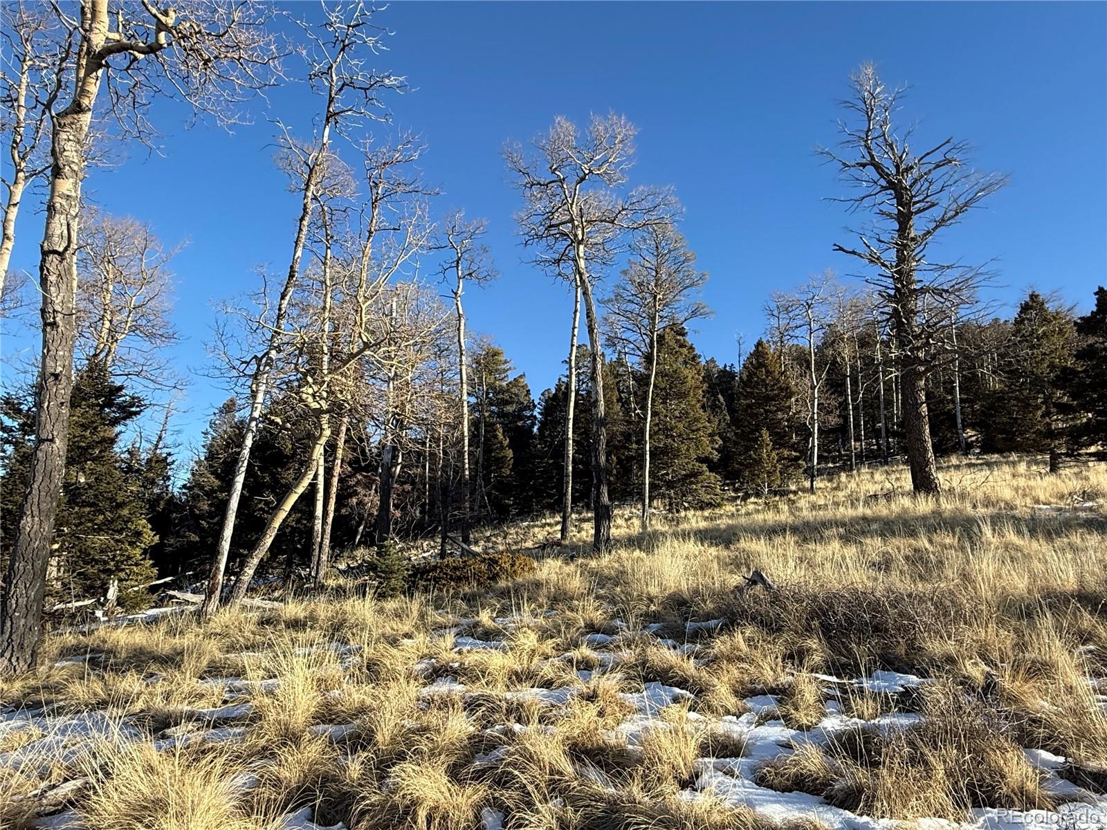 Lot 499 Collinson Drive