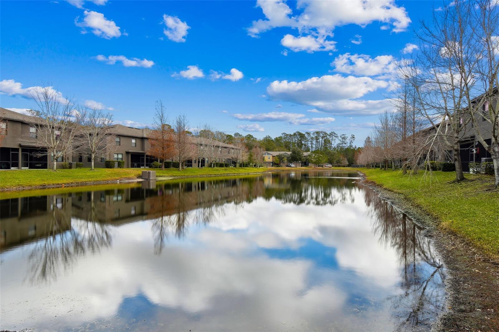 17284 Old Tobacco Road