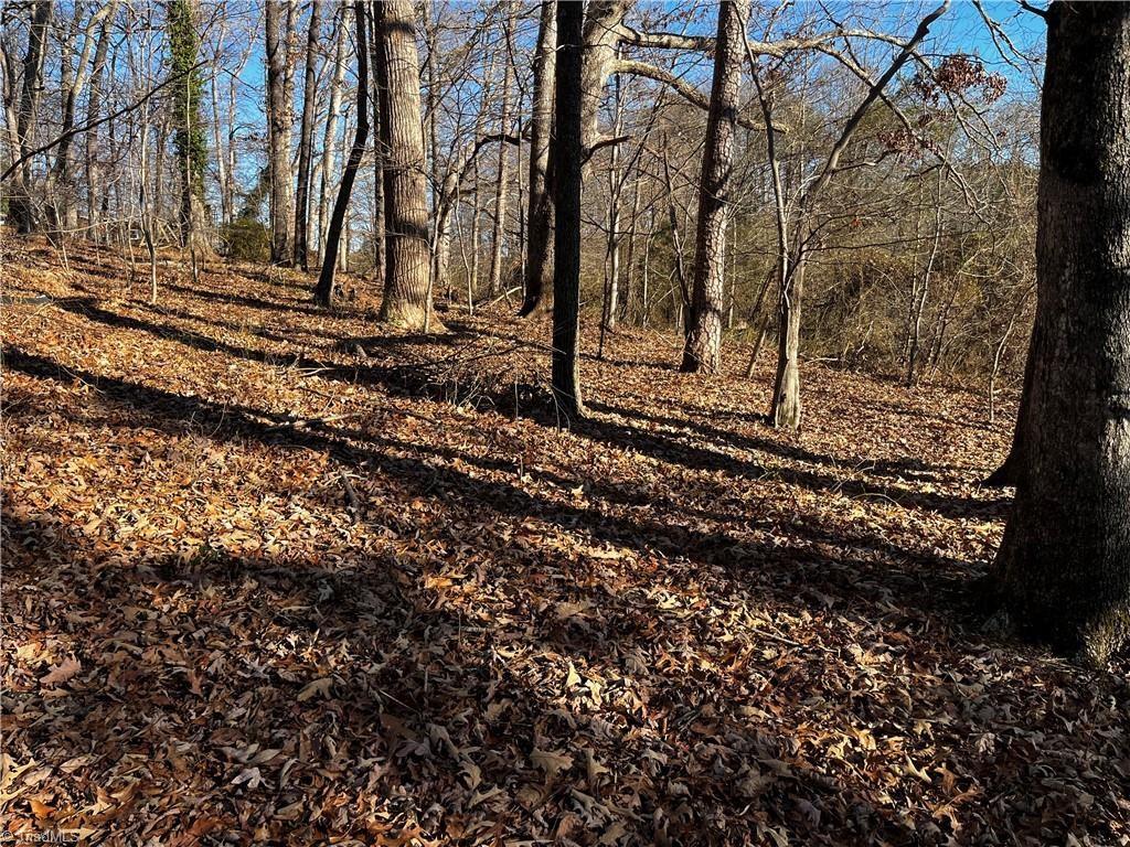 Your 1+/-  Acre Dream Begins Here! Picture building your custom home on this generous 1+/- acre site (three combined lots) where convenience meets nature. Imagine enjoying the quiet mornings with pond access just steps away, and the peace of mind that public water is available for your build. After a busy day, you are only minutes from the shops and restaurants in Mount Airy, and weekend adventures are easy with the Blue Ridge Parkway nearby. This is the foundation for the lifestyle you deserve. More lots are available! Call us today to step onto your future property.