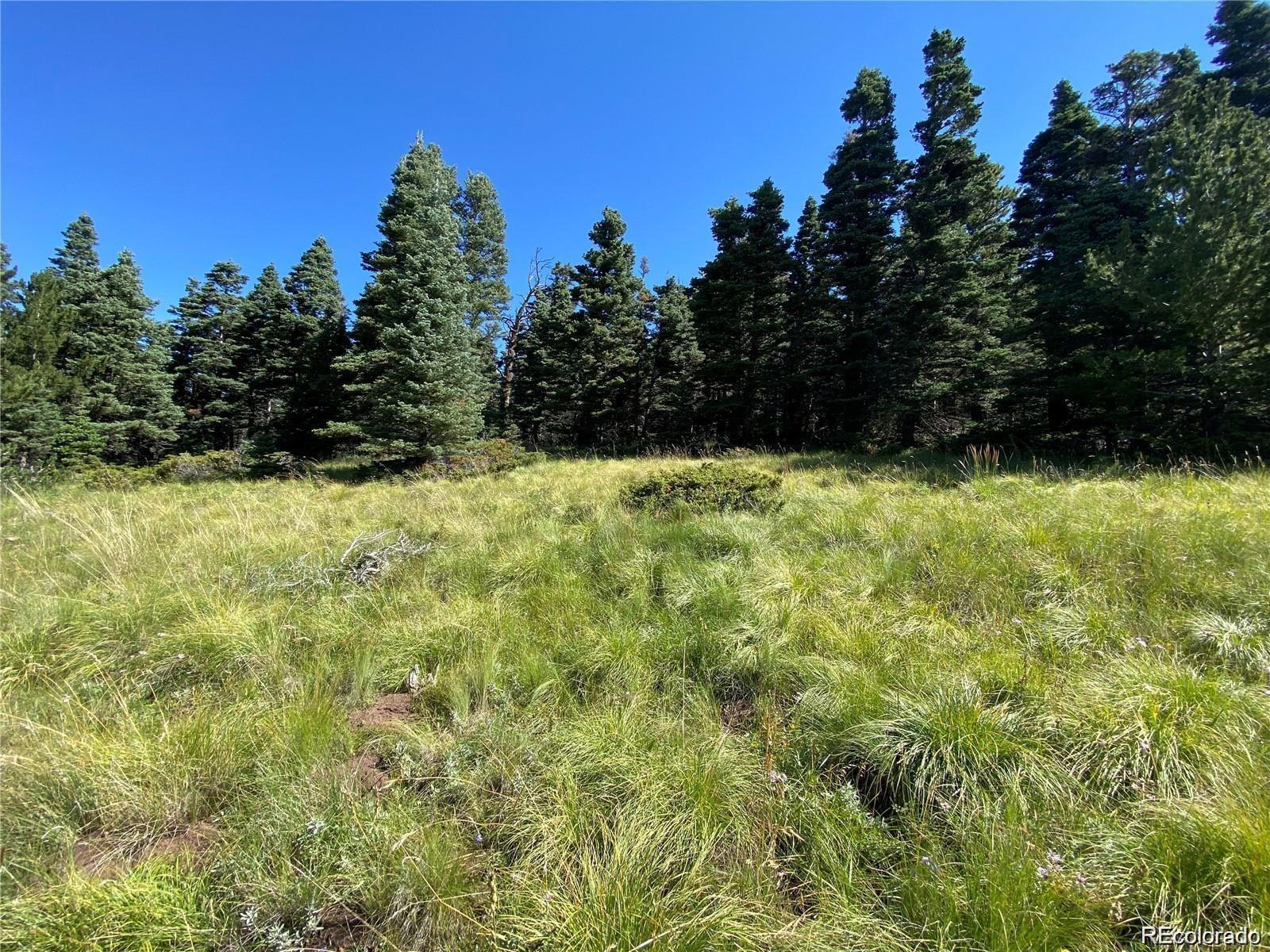 Lot 3141 Forbes Loop Road
