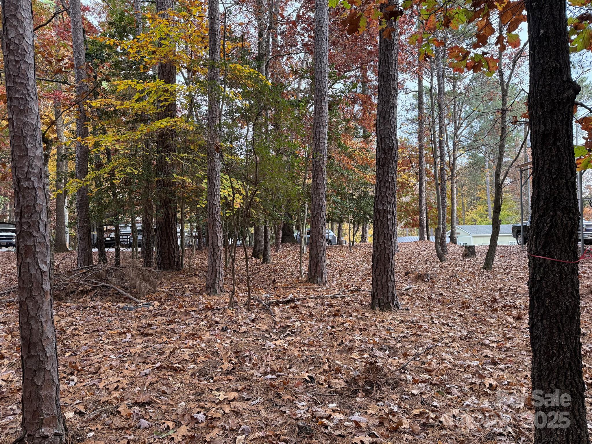 Empty lots are hard to come by in Twin Harbor. This is an undeveloped level lot that backs up to woods.
45x96x47x96
.09 Acre
Come and see if you can make this your "Happy Place" in Twin Harbor. All buyers must be with a realtor to gain access to the community.

Will need to add water, sewer and update the power.