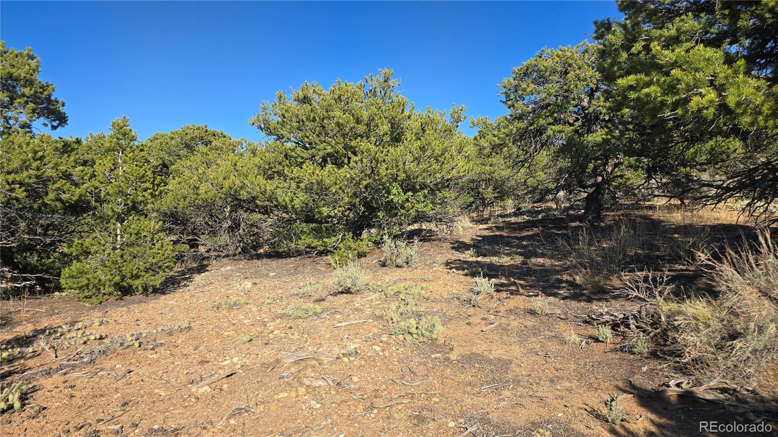 Lot 3886 & 3887 Galloway Road