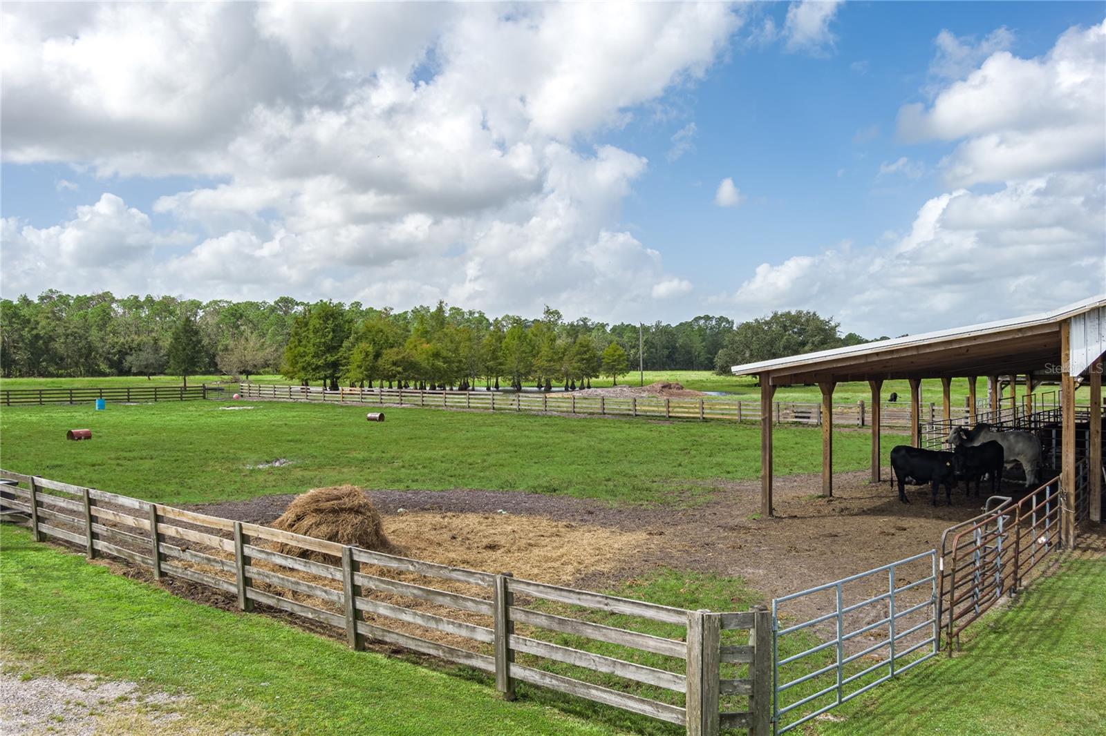 1126 & 1144 County Road 665